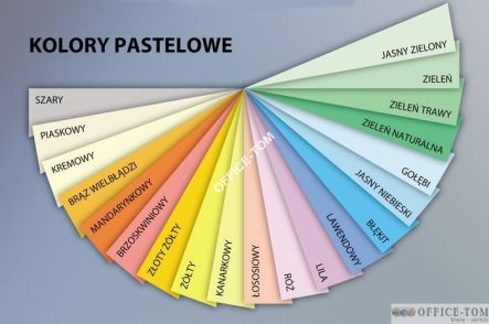 Papier xero kolorowy A4 SZARY 80G karton- 5 ryz GR21