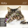 Kalendarz ścienny 2017 Koty 30x30 LP51-17 HELMA - 16