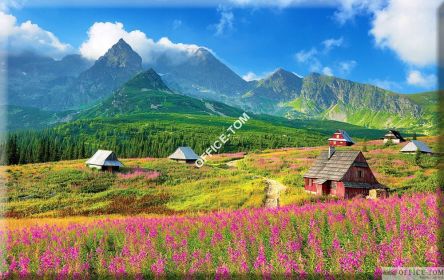 Kalendarz B5 standard PLUS ciemny brąż 114017011 Astra