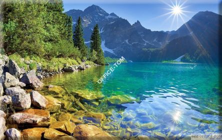 Kalend trójdzielny z główką T01 granat MORSKIE OKO Telegraph