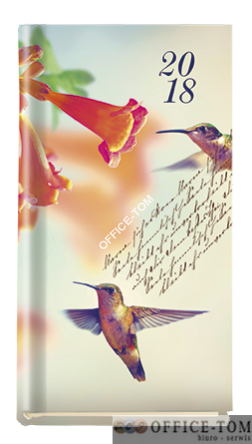 Terminarz KOLIBER żółe KOLIBRY T-320F-03 Michalczyk i Prokop