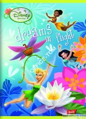 Zeszyt okładka laminowana A5, 16k., linia podwójna, BROKAT, DISNEY WRÓŻKI Unipap