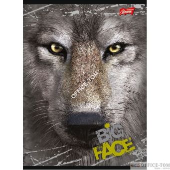 Zeszyt okładka laminowana A5, 60k kratka THE MOUNTAIN BIG FACE Unipap