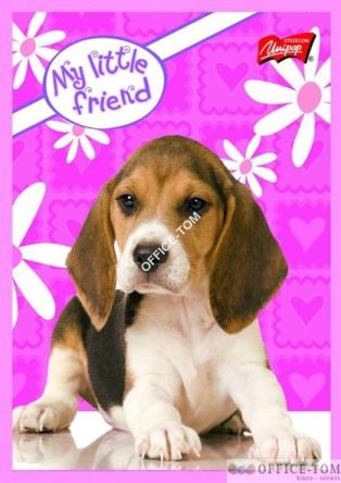 Notatnik A7, 50 k., krata